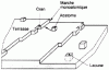Figure 1 - Example of a surface's topography