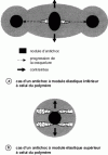 Figure 8 - Dissipation of impact energy by crack formation in the vicinity of shock absorber nodules