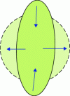 Figure 15 - Isoperimetry in the Euclidean plane