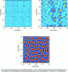Figure 20 - Numerical simulation of a Fitzhugh and Nagumo equation (from Wikipedia)