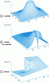 Figure 20 - Module, module cross-section and phase of the two-dimensional Canny filter