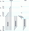 Figure 9 - Light absorption and emission by an aromatic compound, corresponding to transitions between molecular states