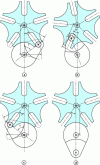 Figure 12 - 5-groove Maltese cross system