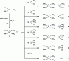 Figure 10 - Synthesis of 2,2-dimethyltriazanium salts (after [9])