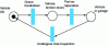 Figure 3 - Example of an evolutionary Petri net