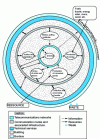 Figure 4 - Organic
systemic model of the territory