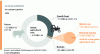 Figure 6 - Use of arable land for the production of bio-based plastics (Credit: European Bioplastics (2024))