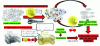 Figure 6 - Didactic approach to the photo-oxidative mechanism of synthetic polymer degradation