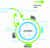 Figure 7 - Improved traceability of recycled plastics with the reciChain process (based on [30])