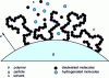 Figure 5 - Schematic representation of polymers coating a particle in solution in a solvent composed of a mixture of hydrogenated and deuterated molecules.