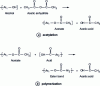 Figure 4 - Aromatic PCL synthesis