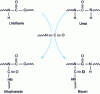 Figure 11 - Equation for additional isocyanate reactions with urethane and urea groups