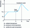 Figure 8 - Hot polymerization reaction: temperature rise curve