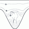 Figure 20 - Poincaré section in a plane perpendicular to the upper plane of figure 19 in ...