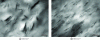 Figure 45 - TEM images
of nanocomposites prepared at 100 rpm-1 and 700 rpm-1 [20]