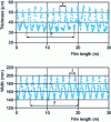 Figure 19 - Periodic thickness fluctuations in a Draw Resonance situation observed on PET [10]