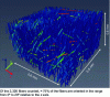 Figure 8 - Example of an orientation map obtained by X-ray microtomography of an ABS/carbon fiber composite (20% by mass) (adapted from [9])