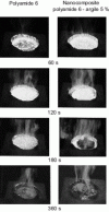 Figure 18 - Series of digitized images illustrating the pyrolysis process in the fire resistance experiment