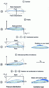 Figure 24 - Different types of cavitation of a cambered or non-cambered profile as a function of incidence  and relative thickness emax /C