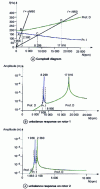 Figure 24 - Asymmetric model: Campbell diagram and unbalanced responses for n = 5