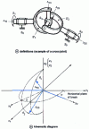 Figure 1 - Cardan joint: technical situation