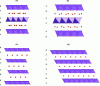 Figure 12 - Schematic representation of structures P2, O2, P3 and O3