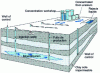 Figure 5 - In-place leaching. Schematic view