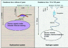 Figure 10 - Synthetic comparison between a hydrocarbon geological system and a hydrogen geological system (after [47] modified)