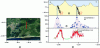 Figure 20 - Location of a section where surface measurements were carried out (a), topographic section and location of two reverse faults (b), hydrogen concentrations in soils corresponding to this section (c) and thorium concentrations measured by gamma spectrometry along the same section (d) (after [48]).