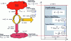 Figure 23 - Driving machine – Exergy analysis