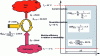 Figure 26 - Refrigeration machine – Energy analysis at reversible conditions