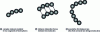 Figure 5 - Molecule chains