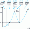 Figure 12 - Free boiling curve and different regimes observed as a function of wall superheat and flow [29].
