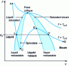 Figure 2 - Representation of phase equilibrium for a pure body in a pressure-volume diagram