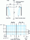 Figure 15 - Condensation inside a tube. Physical model and numerical grid