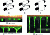 Figure 4 - Different flow regimes