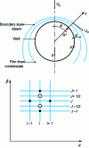 Figure 8 - Condensation on the surface of a cylinder. Physical model and numerical grid