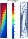 Figure 14 - Fields of isotherms and current lines obtained for ...