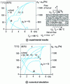 Figure 16 - Profiles of pressure, temperature and average water content in a concrete slab dried at high temperatures (after [67])