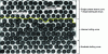 Figure 17 - Micromodel laboratory experiments illustrating the flooding of a porous medium heated by a source term in the solid phase (after [68]).
