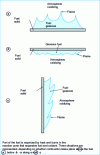 Figure 6 - Solid fuel in an oxidizing atmosphere