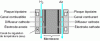 Figure 1 - Set of bipolar plates, feed channels, electrode-membrane-electrode assembly, and cooling circuit