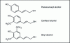 Figure 20 - Basic lignin units