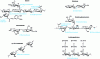 Figure 2 - Chemical bonds hydrolyzed by hemicellulases 17