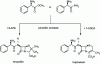 Figure 7 - Enzymatic synthesis of ampicillin and cephalexin using penicillin amidase