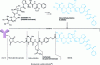 Figure 6 - Chemical structures of dolastatin 10, MMAE and brentuximab vedotin (Adcetris®)