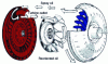Figure 18 - Oil reorientation through the reactor