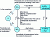 Figure 24 - Mechanism for converting sulfur into sulfuric acid in engines