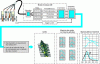 Figure 27 - Synoptic description of optical combustion diagnostics – IAV document