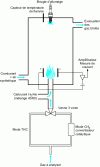 Figure 45 - Diagram of an FID detector with catalytic converter